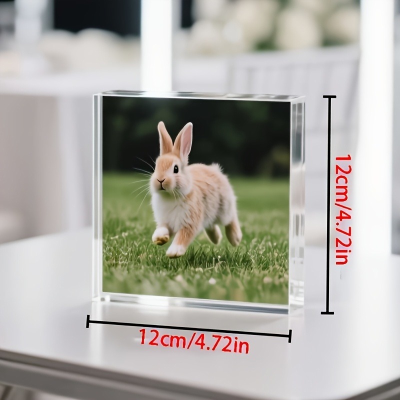 1PC Custom Photo   Acrylic Per - đánh giá và giá Photo Acrylic Block